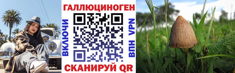 Галлюциногенные грибы Psilocybe  Могоча 